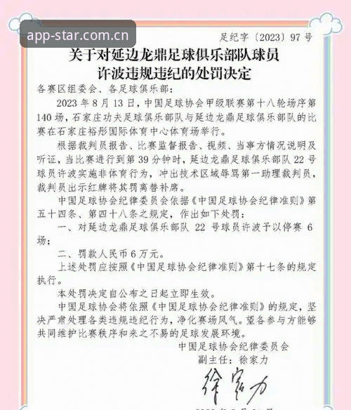 星空体育app正版 3大维度解析足协第三批禁足名单:65人受罚背后的足球生态整治