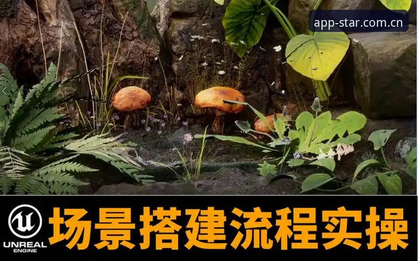 星空娱乐安全对比实操教程：从下载到登录的全流程防护指南